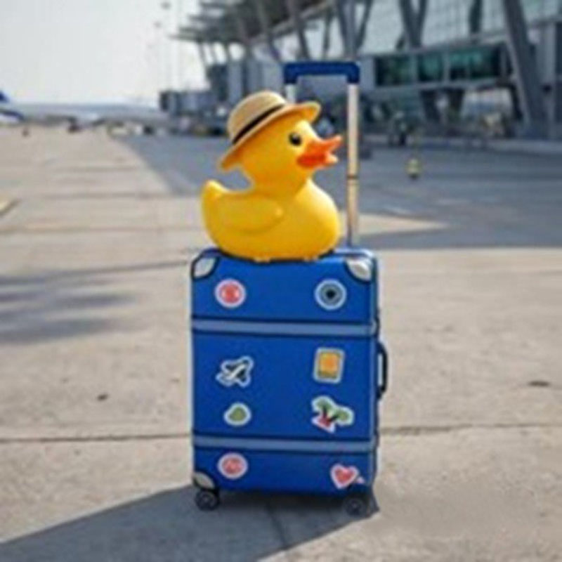 IMG_6724Ente