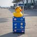 IMG_6724Ente